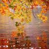 beren_2365