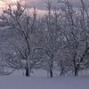 xhevat.gashi2