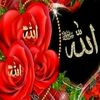 sameer.prince53