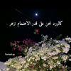 toomafla