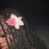scammaprincesa