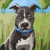 canecorso2777