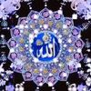 ali.ahmed7946