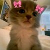 luvv_sakk2