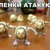 nikitachenblnob