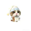 hello_mayconvo