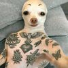 user1997092159705