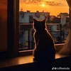trihien_04