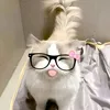 snow_cat_108
