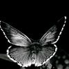 mayar__1789