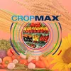 Holland Farming Agro