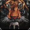 tigerswag2