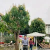 lam.nhi.24091988
