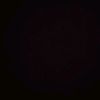 alii_ll3