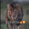 willcadaado1