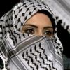 noor74091