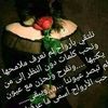 zaher.ail
