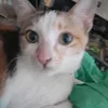 bithanh7856