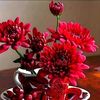 user31030169562242