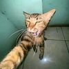 satriaindonesia05
