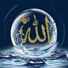 sahajan.ali639