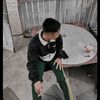 yansz328