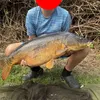 joe_stewy7