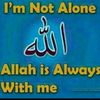 user9951843361677