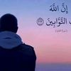 user4231352080386