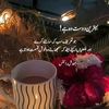 arslan.ansari147