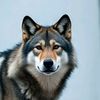 .lobito.0