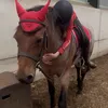random_spamacc134