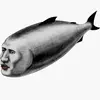 obviouslymalo