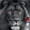 muhammad.saqlain148