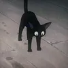 .o.panda