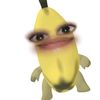 .rifqn