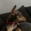 lu_3642