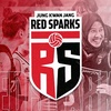 redsparkfans316