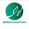 Brilligreen