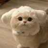 kim_nhung520