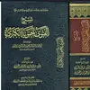 gems0fthesalaf