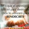 carlos.pelcastre6