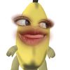 _denrophile2