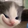 fptyuusei
