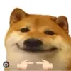 dat_ky_88