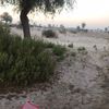 om_khaled.37