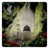 sardar.ali4683