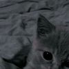 lucky.girl5396