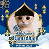 muhammad.dafa260