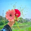 jannat.akter3681